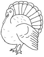 Turkey coloring page.